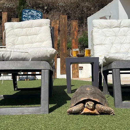 Sunset Teide & La Laguna アパート