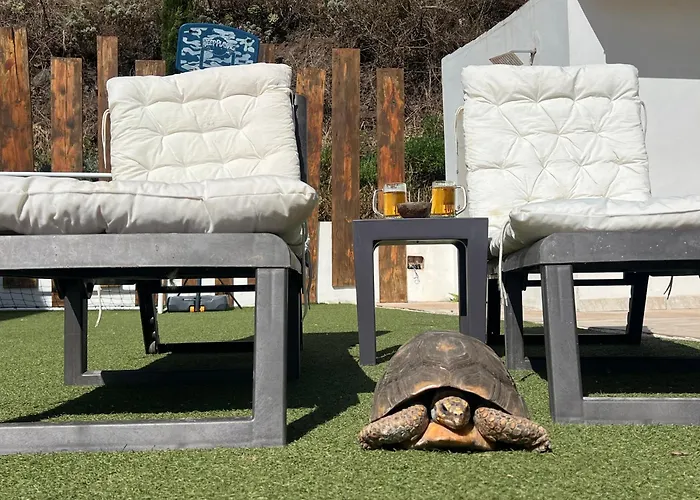 Sunset Teide & La Laguna Apartment